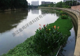 广东省广州市河道生态治理工程
