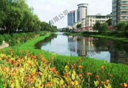安徽省合肥市河道生态修复工程