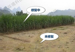 北京市土壤与生态修复工程