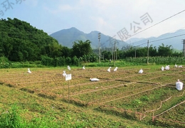 安徽省芜湖市土壤与生态修复工程